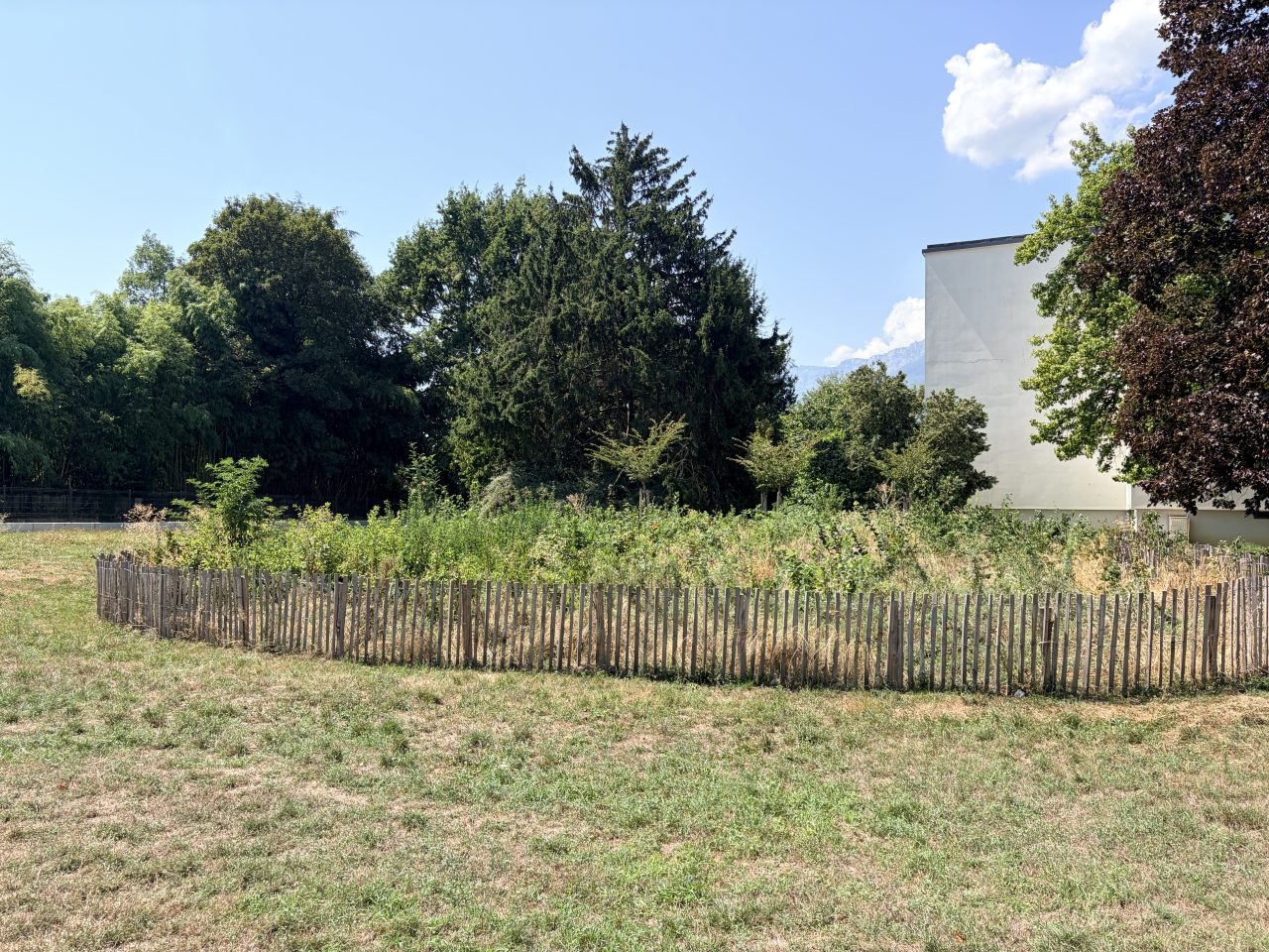 Vue d'une micro forêt plantée par la SDH au pied d'une résidence